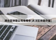 湖北区块链公司有哪些[武汉区块链诈骗]